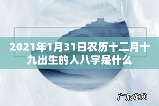 2021年1月31日农历十二月十九出生的人八字是什么