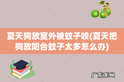 夏天把狗放阳台蚊子太多怎么办 夏天狗放室外被蚊子咬
