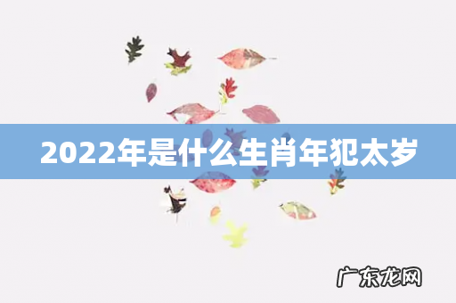 2022年是什么生肖年犯太岁
