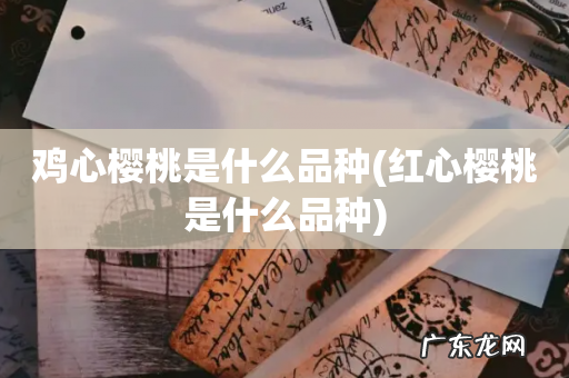 红心樱桃是什么品种 鸡心樱桃是什么品种