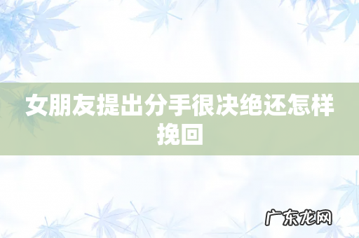 女朋友提出分手很决绝还怎样挽回