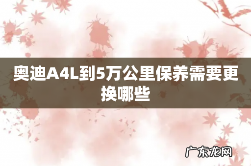 奥迪A4L到5万公里保养需要更换哪些