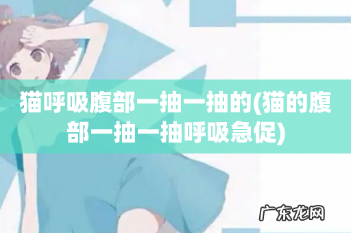 猫的腹部一抽一抽呼吸急促 猫呼吸腹部一抽一抽的