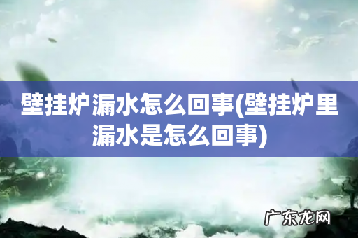 壁挂炉里漏水是怎么回事 壁挂炉漏水怎么回事