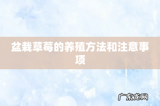 盆栽草莓的养殖方法和注意事项