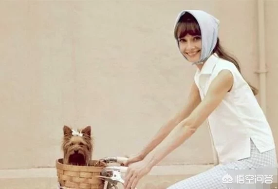 爱马仕招牌丝巾一共有几种款式?