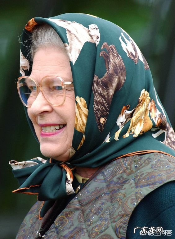 爱马仕招牌丝巾一共有几种款式?