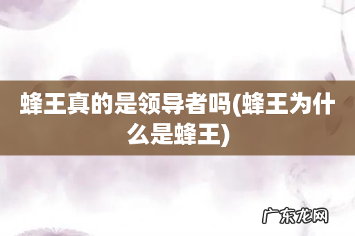 蜂王为什么是蜂王 蜂王真的是领导者吗