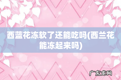 西兰花能冻起来吗 西蓝花冻软了还能吃吗