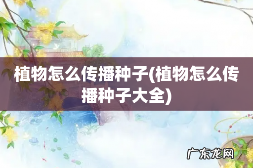 植物怎么传播种子大全 植物怎么传播种子