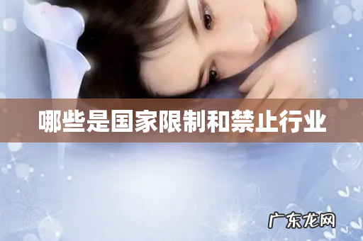 哪些是国家限制和禁止行业