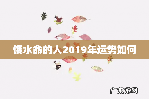 饿水命的人2019年运势如何