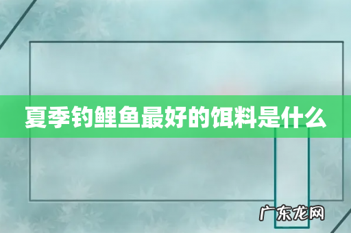 夏季钓鲤鱼最好的饵料是什么