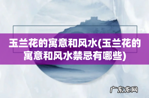 玉兰花的寓意和风水禁忌有哪些 玉兰花的寓意和风水