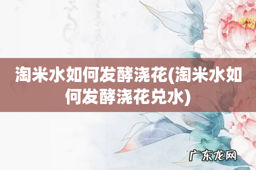 淘米水如何发酵浇花兑水 淘米水如何发酵浇花