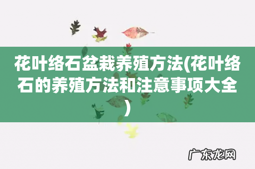 花叶络石的养殖方法和注意事项大全 花叶络石盆栽养殖方法
