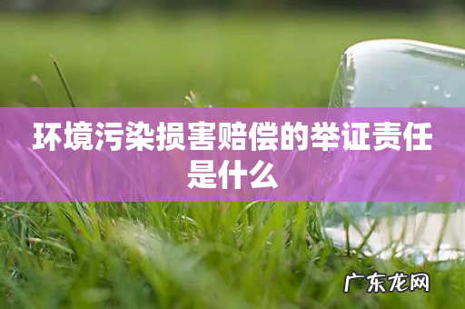 环境污染损害赔偿的举证责任是什么
