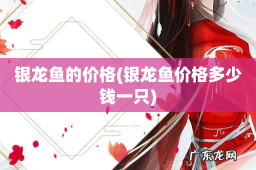 银龙鱼价格多少钱一只 银龙鱼的价格