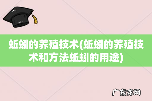 蚯蚓的养殖技术和方法蚯蚓的用途 蚯蚓的养殖技术