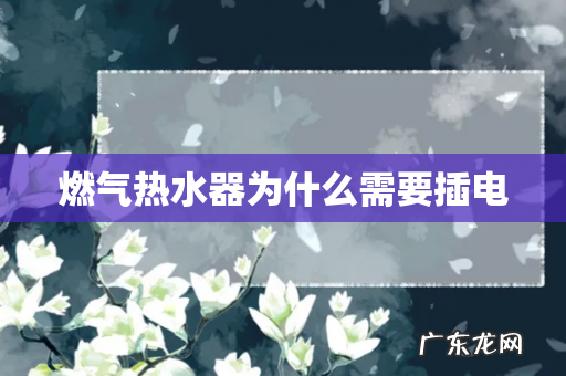 燃气热水器为什么需要插电