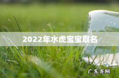 2022年水虎宝宝取名