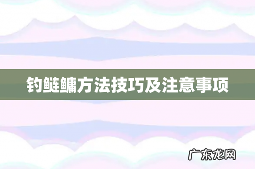 钓鲢鳙方法技巧及注意事项