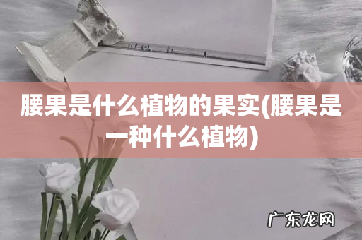 腰果是一种什么植物 腰果是什么植物的果实