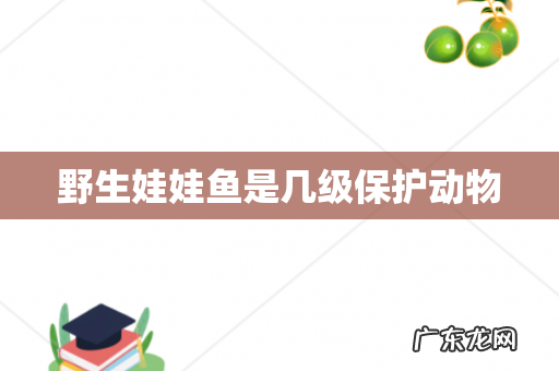 野生娃娃鱼是几级保护动物