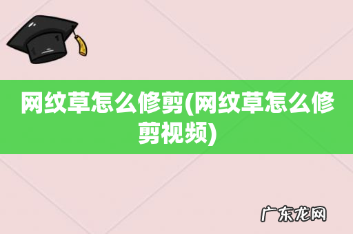 网纹草怎么修剪视频 网纹草怎么修剪
