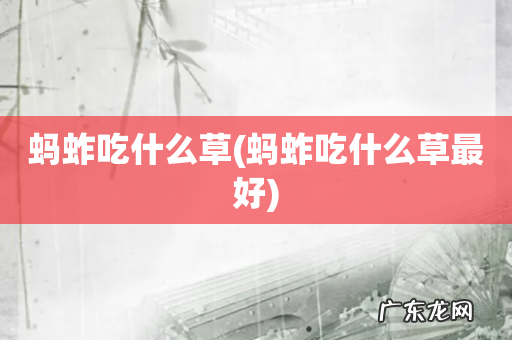 蚂蚱吃什么草最好 蚂蚱吃什么草