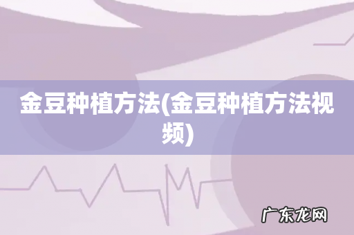 金豆种植方法视频 金豆种植方法