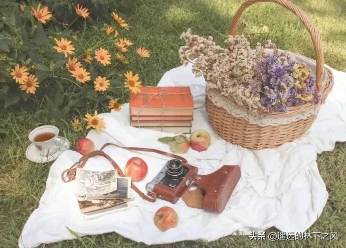 有哪些朋友圈特别现实的短句子?