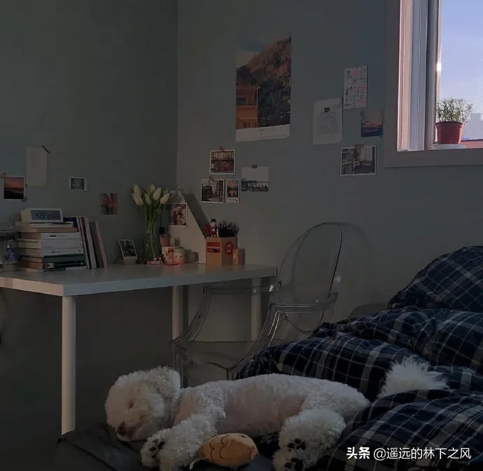 有哪些朋友圈特别现实的短句子?