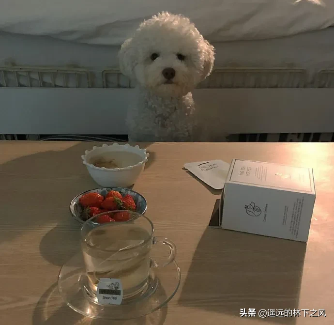 有哪些朋友圈特别现实的短句子?