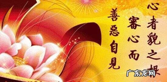 有哪些朋友圈特别现实的短句子?