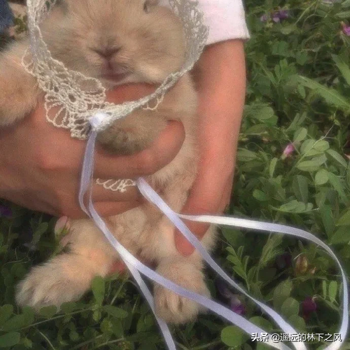 有哪些朋友圈特别现实的短句子?