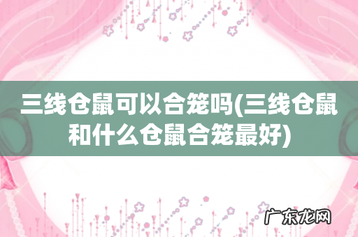三线仓鼠和什么仓鼠合笼最好 三线仓鼠可以合笼吗