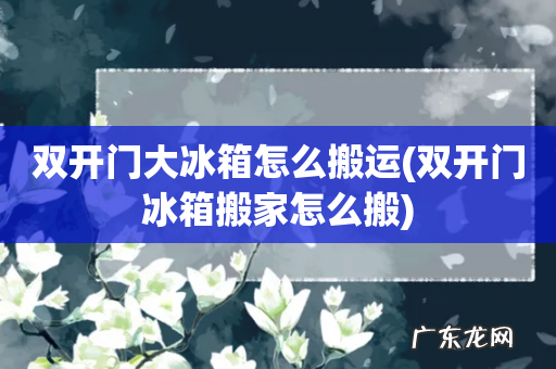 双开门冰箱搬家怎么搬 双开门大冰箱怎么搬运