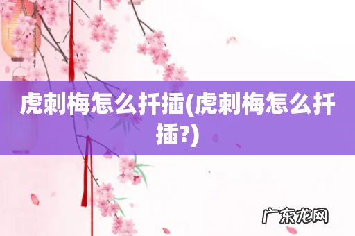 虎刺梅怎么扦插? 虎刺梅怎么扦插