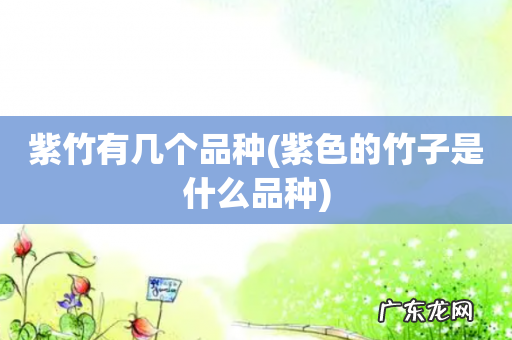 紫色的竹子是什么品种 紫竹有几个品种