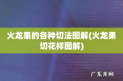火龙果切花样图解 火龙果的各种切法图解