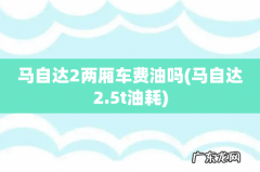 马自达2.5t油耗 马自达2两厢车费油吗