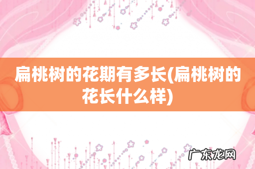 扁桃树的花长什么样 扁桃树的花期有多长