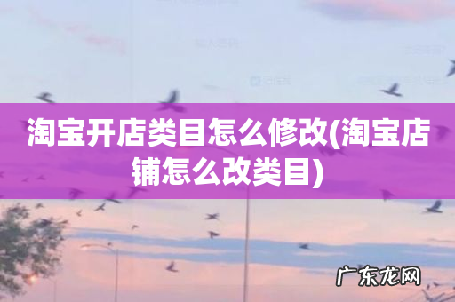 淘宝店铺怎么改类目 淘宝开店类目怎么修改