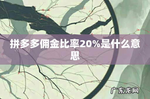 拼多多佣金比率20%是什么意思