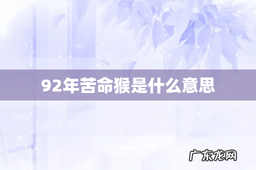 92年苦命猴是什么意思
