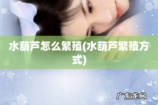 水葫芦繁殖方式 水葫芦怎么繁殖