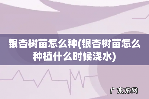 银杏树苗怎么种植什么时候浇水 银杏树苗怎么种