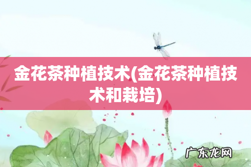金花茶种植技术和栽培 金花茶种植技术