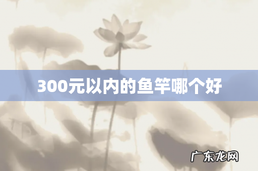 300元以内的鱼竿哪个好